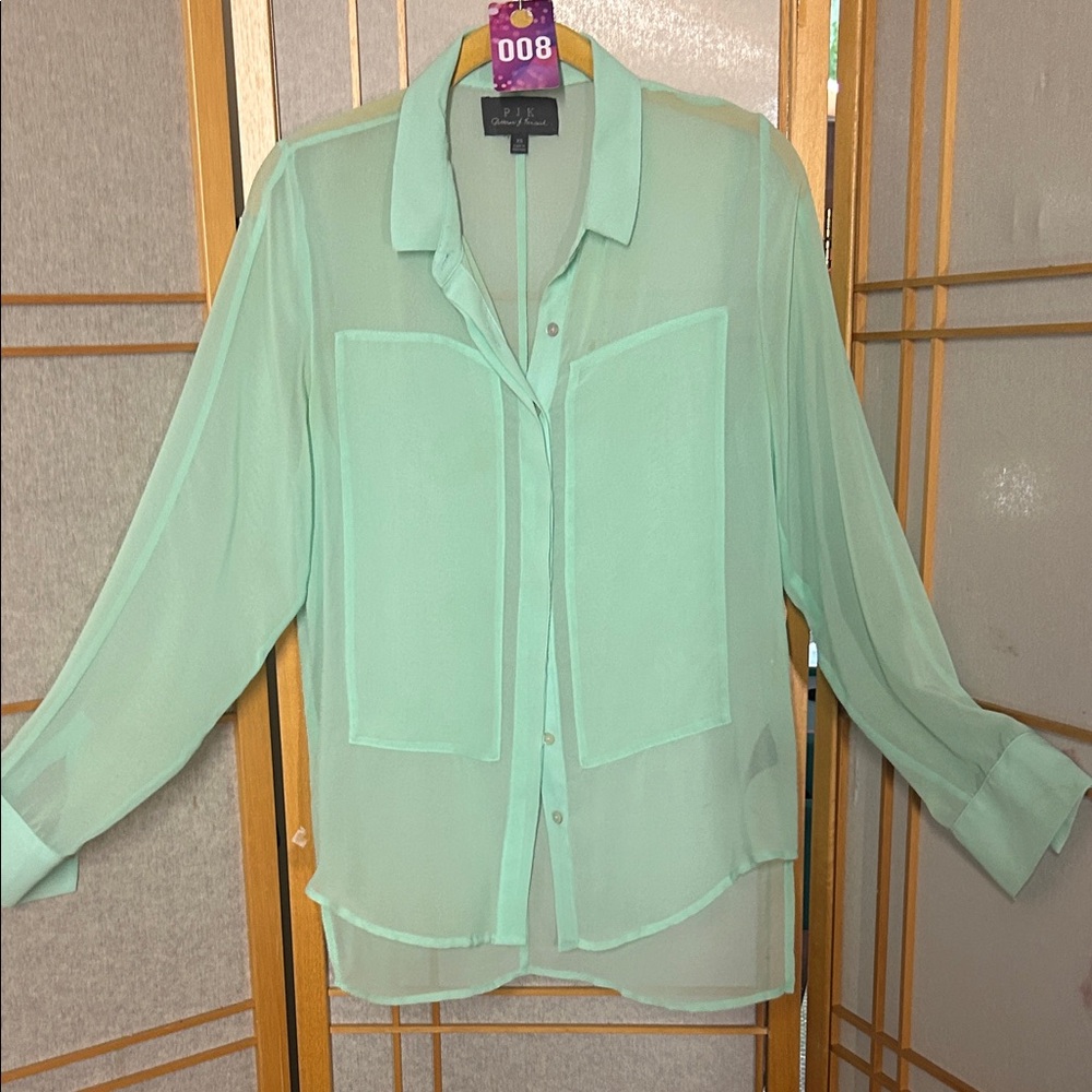 PJK Patterson J. Kincaid Light Green Sheer Blouse